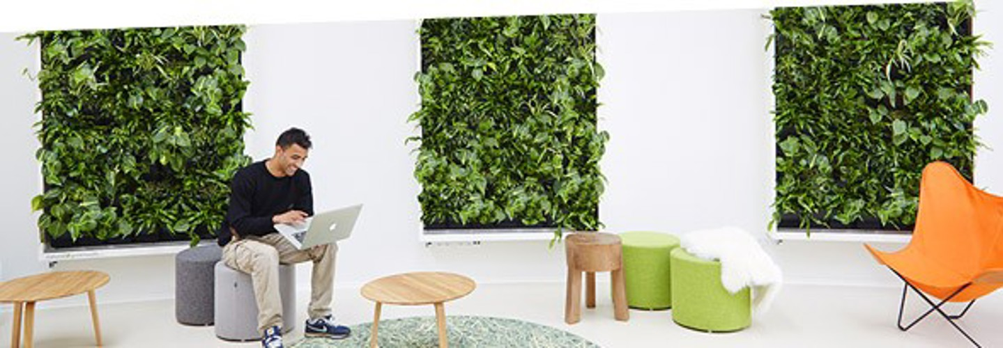Profiles for greenwalls and vertical gardening